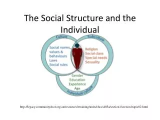 The Social Structure and the Individual