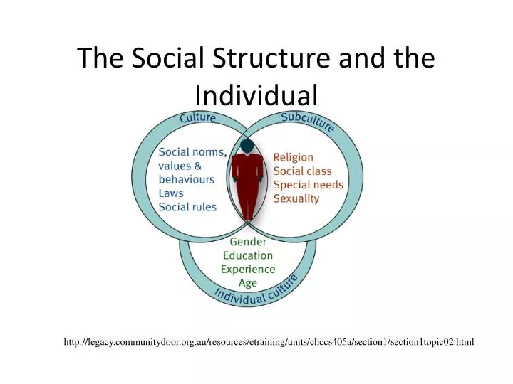 the social structure and the individual