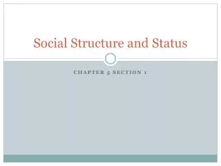 Social Structure and Status