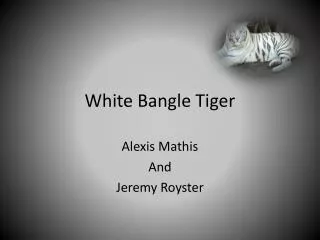 White Bangle Tiger
