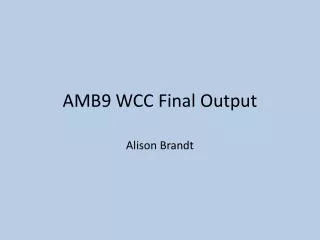 AMB9 WCC Final Output
