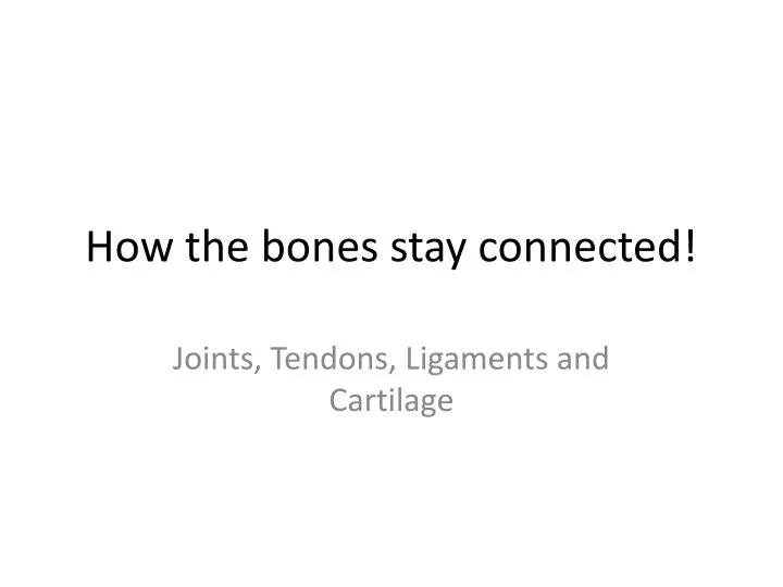 how the bones stay connected