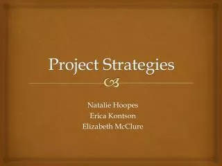 Project Strategies