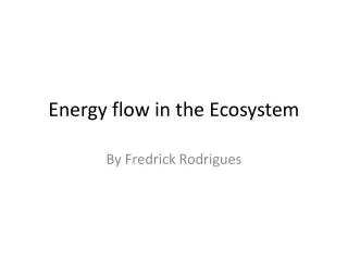 Energy flow in the Ecosystem
