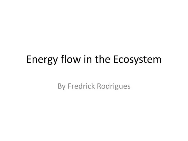 energy flow in the ecosystem