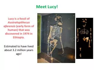 Meet Lucy!