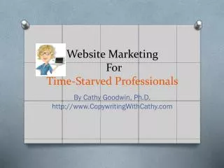 Website Marketing For Time-Starved Professionals