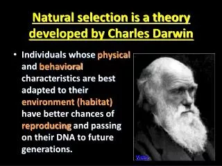 Natural selection is a theory developed by Charles Darwin