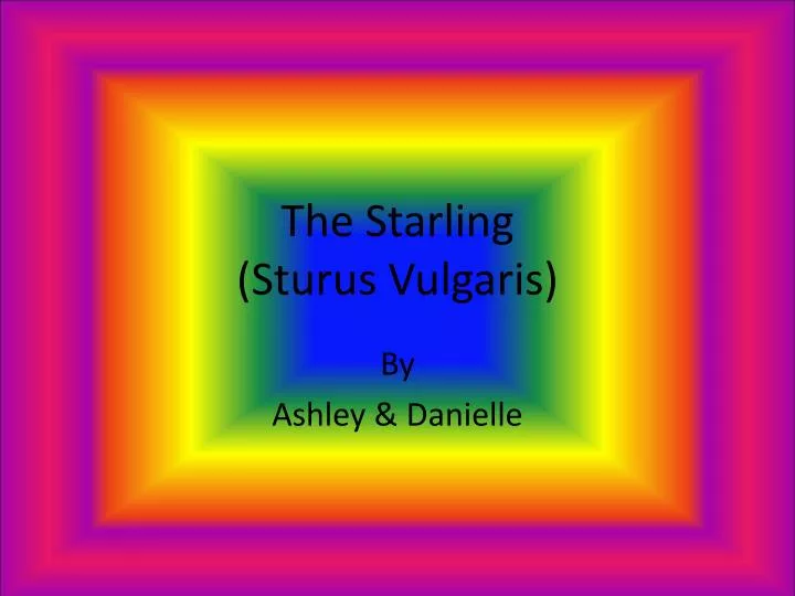 the starling sturus vulgaris