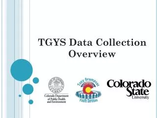 TGYS Data Collection Overview