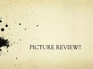 PICTURE REVIEW!!