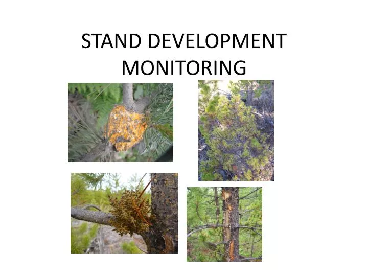 stand development monitoring