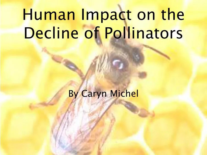 human impact on the decline of pollinators