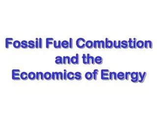 Fossil Fuel Combustion and the Economics of Energy