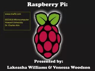 Raspberry Pi: