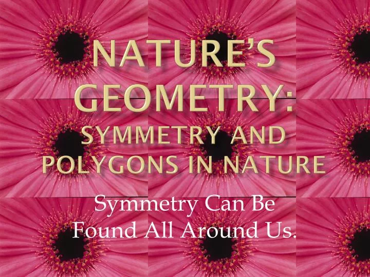 nature s geometry symmetry and polygons in nature