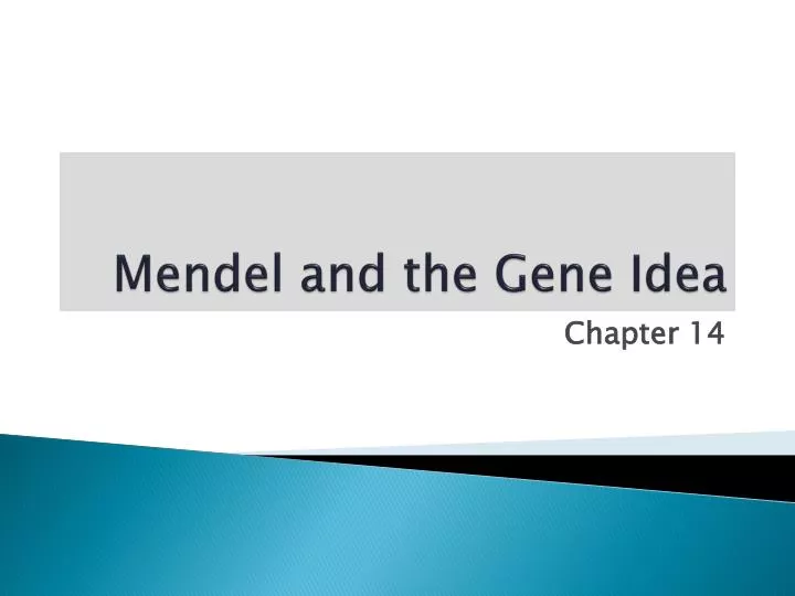 mendel and the gene idea