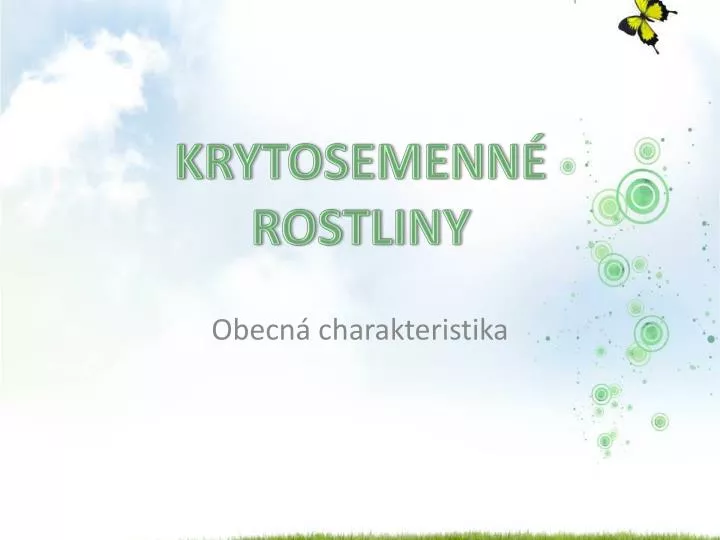 krytosemenn rostliny