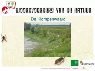 de klompenwaard