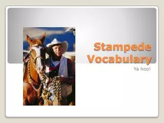 Stampede Vocabulary