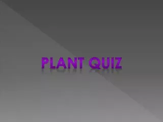 Plant quiz