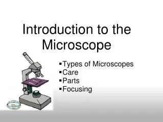 Introduction to the Microscope