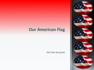 Our American Flag