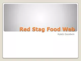 Red Stag Food Web