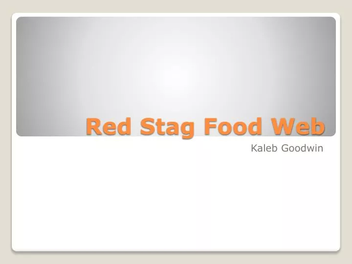 red stag food web