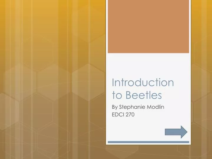 introduction to beetles