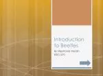 Introduction to Beetles - slide 1