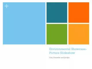 Environmental Showcase- Picture Slideshow