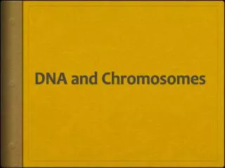 dna and chromosomes