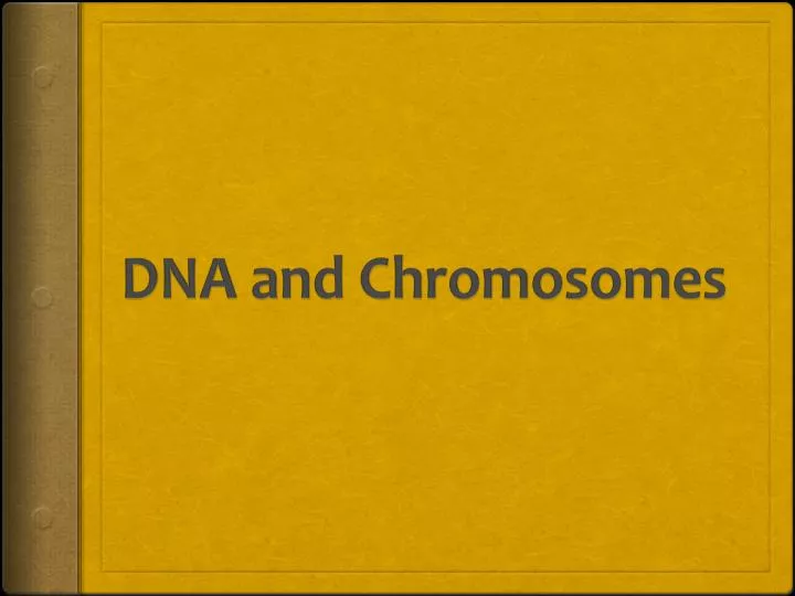 dna and chromosomes