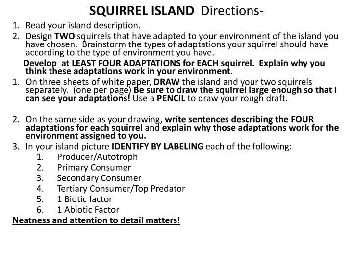 squirrel island directions