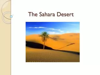 The Sahara Desert