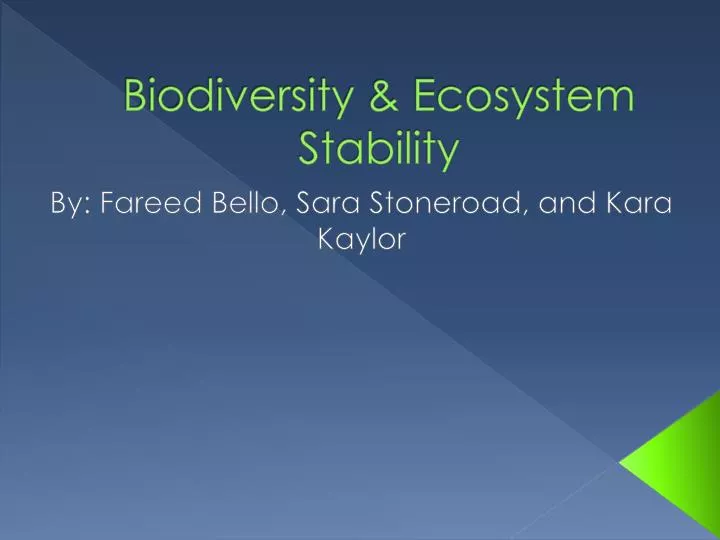biodiversity ecosystem stability