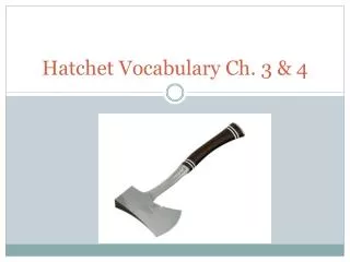 Hatchet Vocabulary Ch. 3 &amp; 4