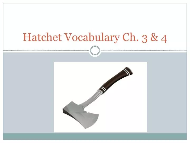hatchet vocabulary ch 3 4