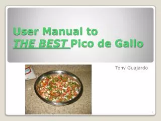 User Manual to THE BEST Pico de Gallo