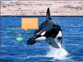 Killer Whales