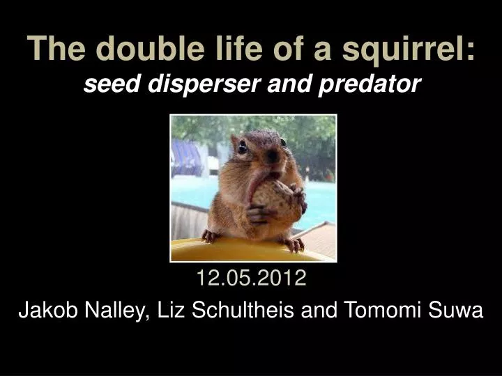 the double life of a squirrel seed disperser and predator