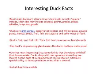Interesting Duck Facts