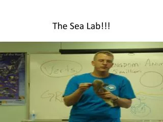 The Sea Lab!!!