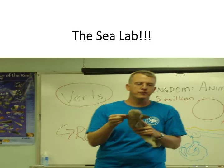 the sea lab