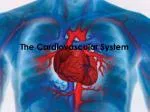 The C ardiovascular System