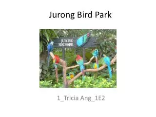 Jurong Bird Park