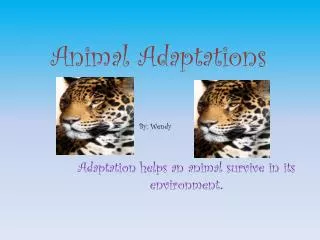 Animal Adaptations