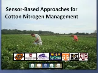 Sensor-Based Approaches for Cotton Nitrogen Management