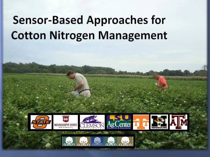 sensor based approaches for cotton nitrogen management